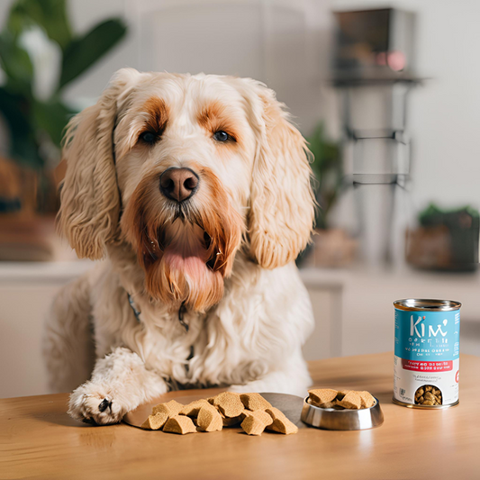 ¿Estás matando a tu mascota con amor? La verdad sobre las porciones de croquetas que nadie te dice 🐕🐈